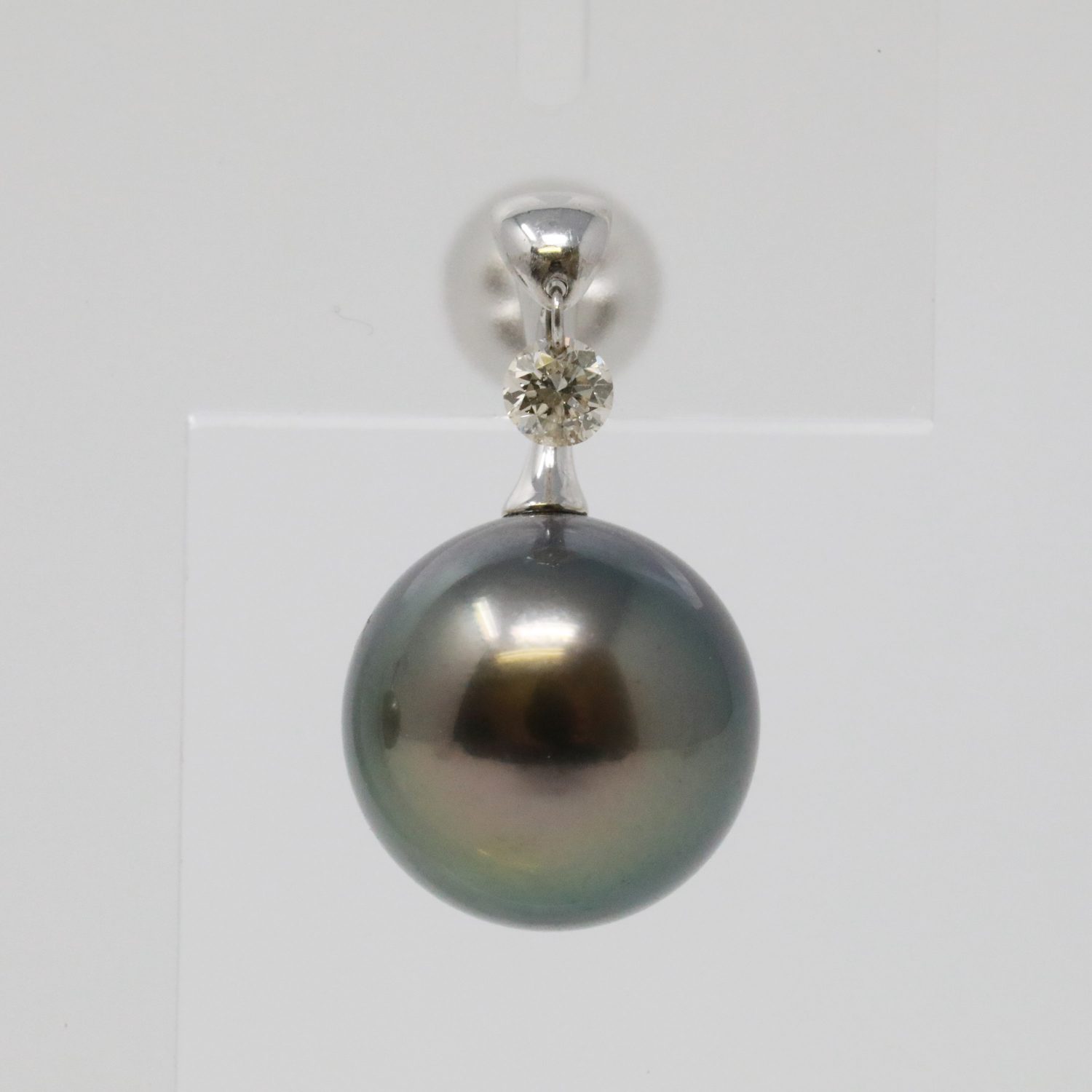 黒蝶真珠ピアス