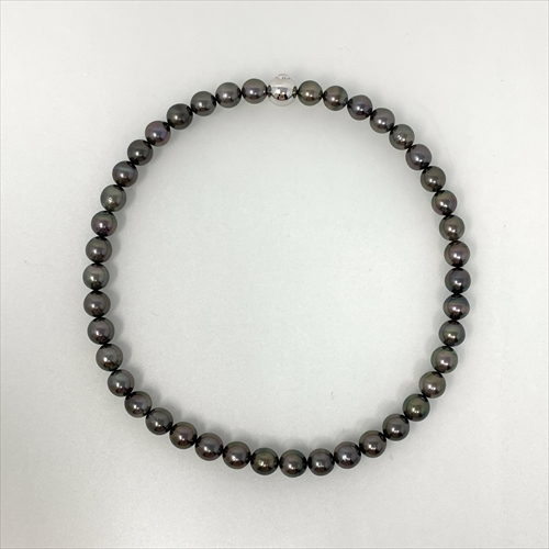 黒蝶真珠ネックレス N-54