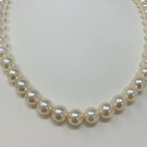 アコヤ真珠　ネックレス　N65