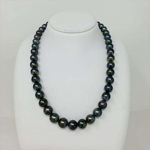 黒蝶真珠　ネックレス　N66