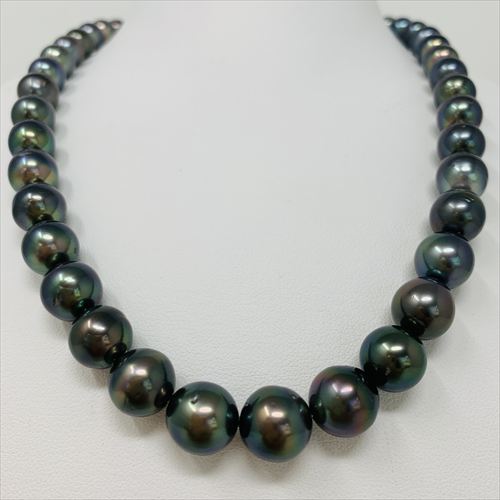 黒蝶真珠　ネックレス　N66