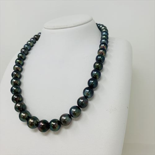 黒蝶真珠　ネックレス　N66