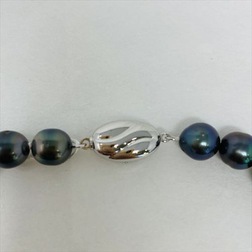 黒蝶真珠　ネックレス　N66