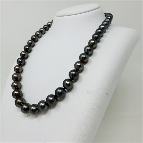 黒蝶真珠　ネックレス　N68