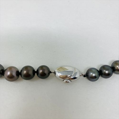 黒蝶真珠　ネックレス　N68