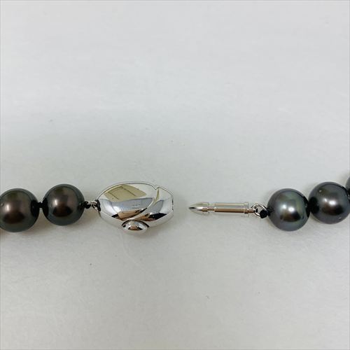 黒蝶真珠　ネックレス　N68