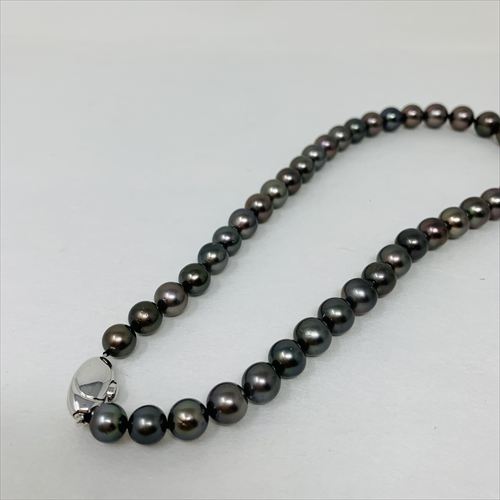 黒蝶真珠　ネックレス　N68