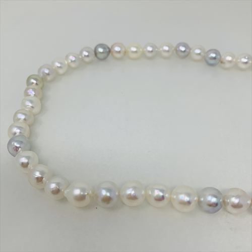 アコヤ真珠　ネックレス　N69
