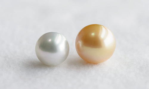 South Sea Pearl